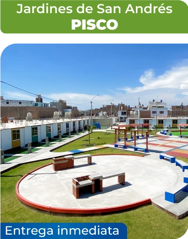 Pisco