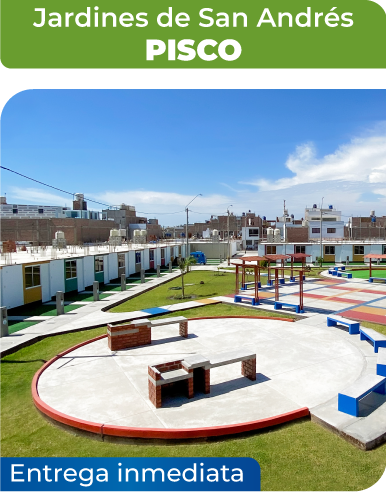 pisco-1